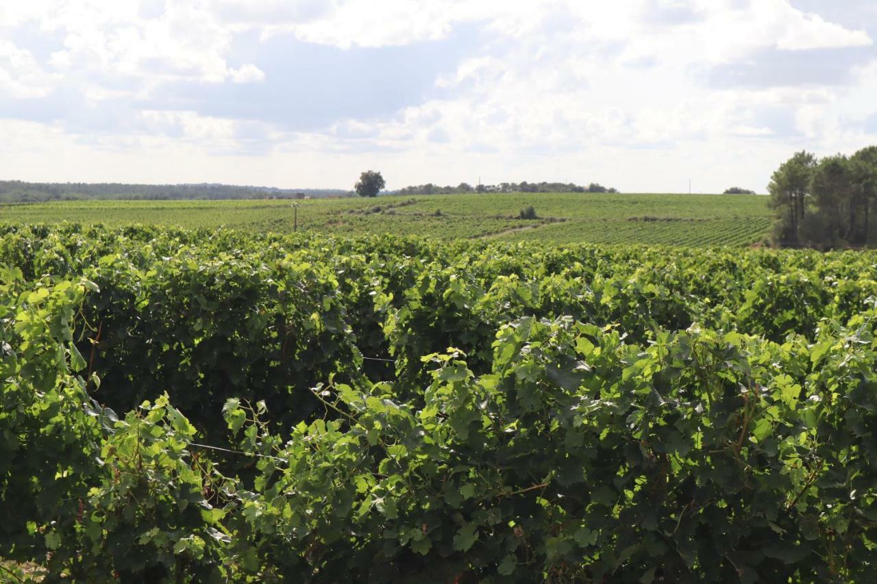 Domaine Des Tilleuls Val-de-Livenne Ngoại thất bức ảnh